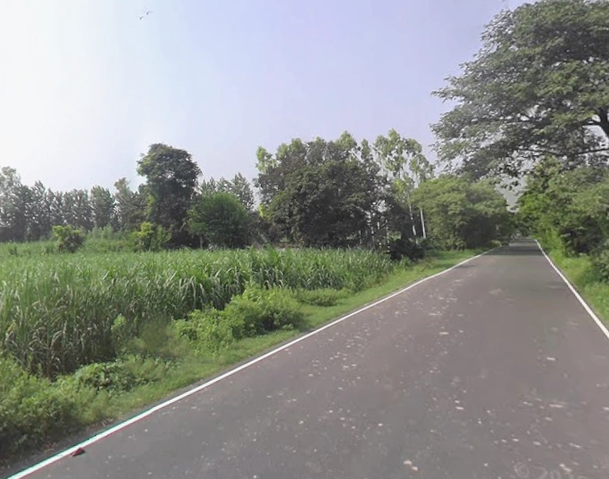 Kalsiya, Uttar Pradesh 247120, India