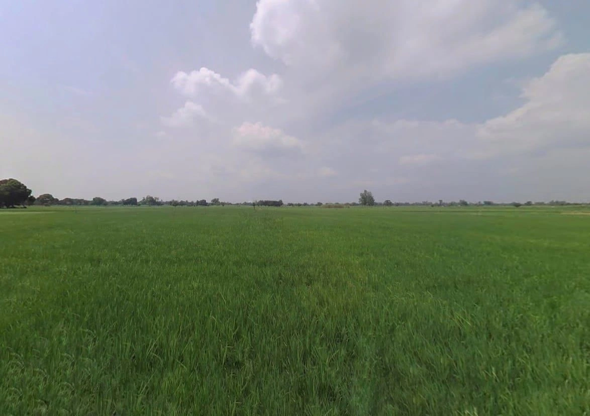 535J+6CF, Badrampur, Uttar Pradesh 203396, India