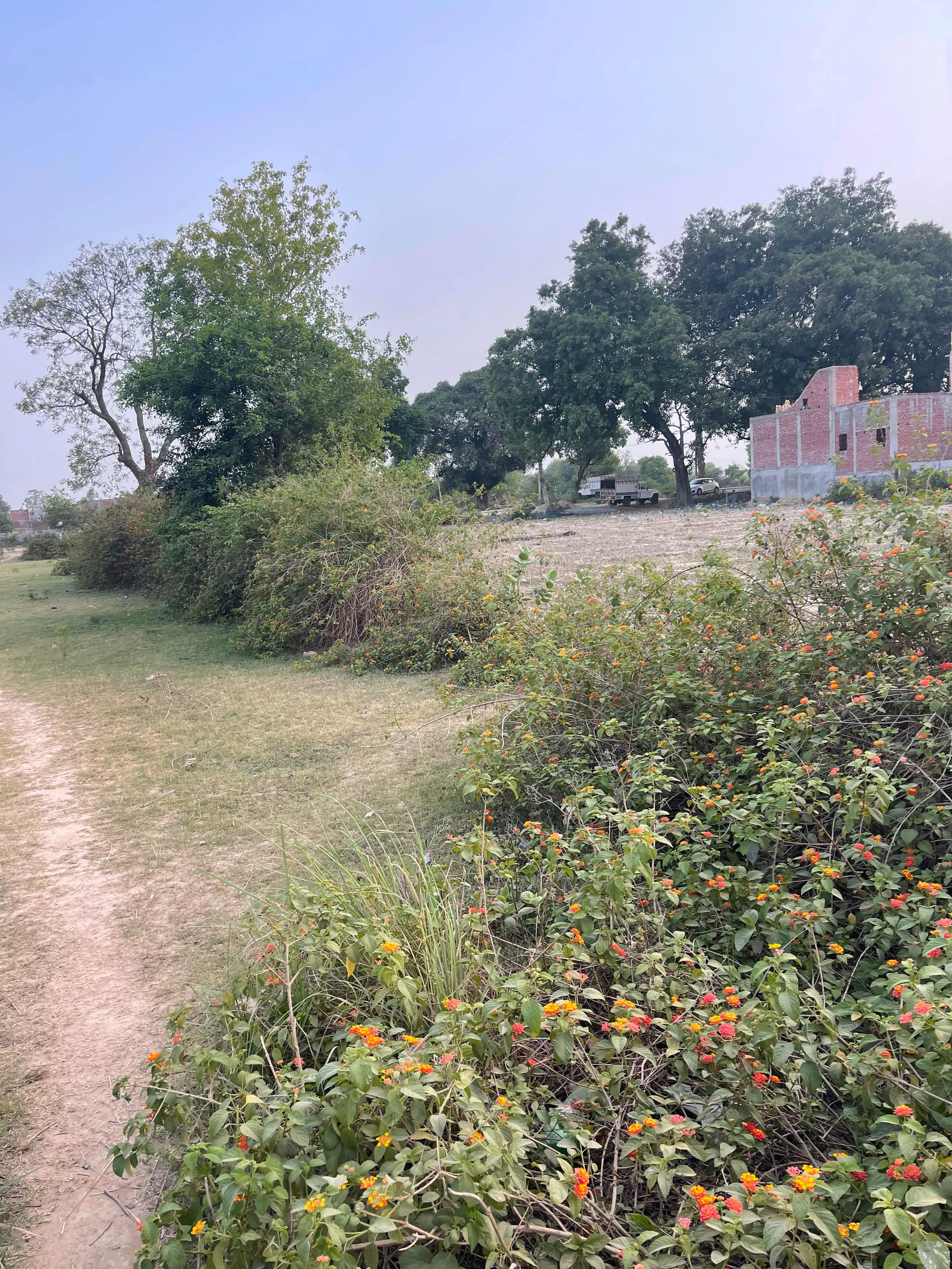 Sandila, Uttar Pradesh 241204, India