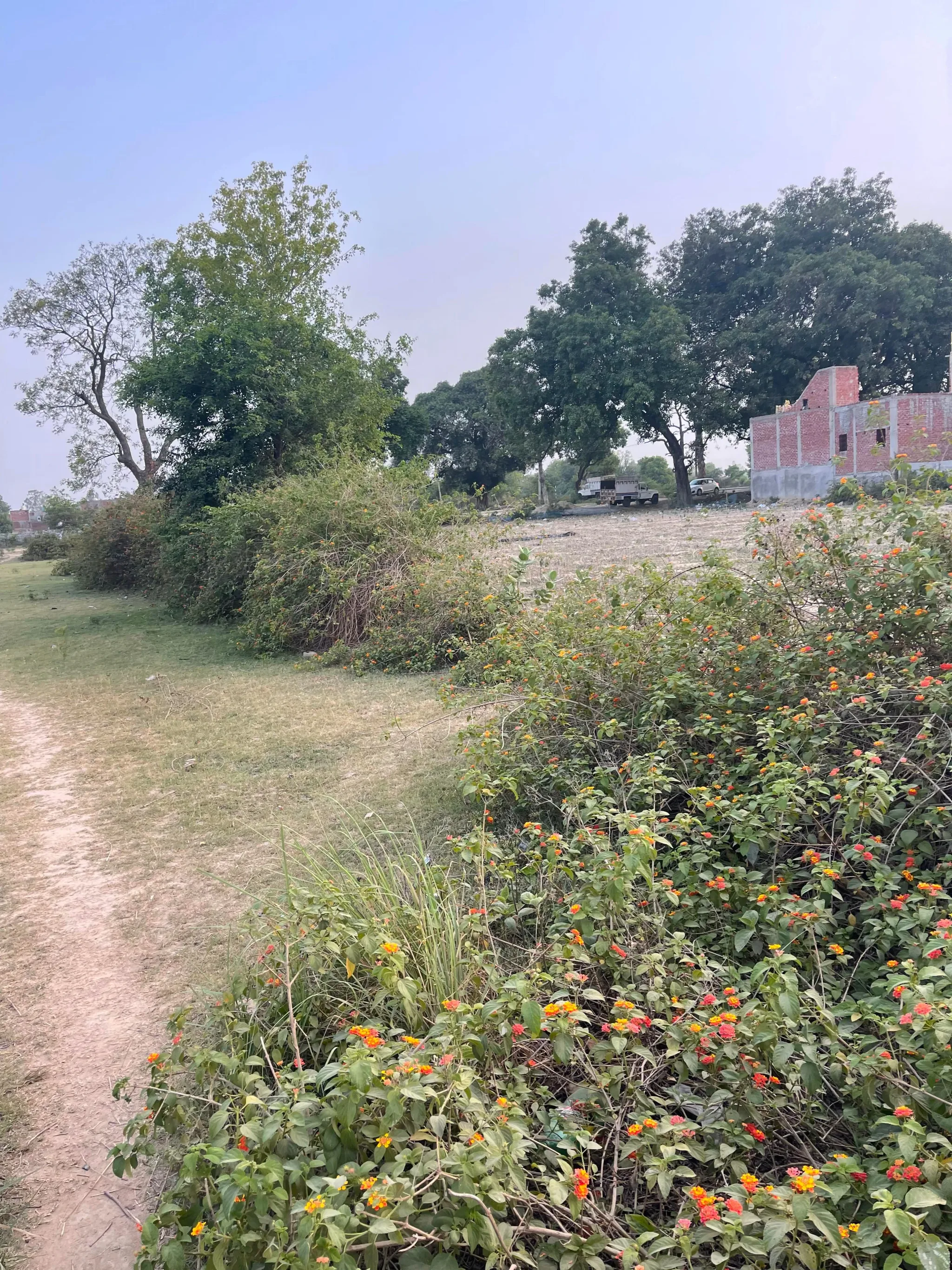 Sandila, Uttar Pradesh 241204, India