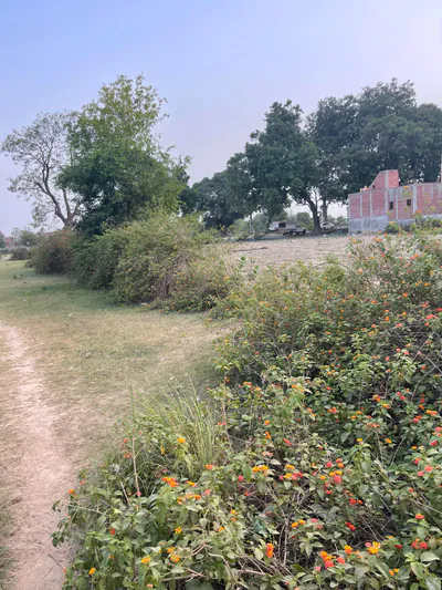 Sandila, Uttar Pradesh 241204, India preview 6