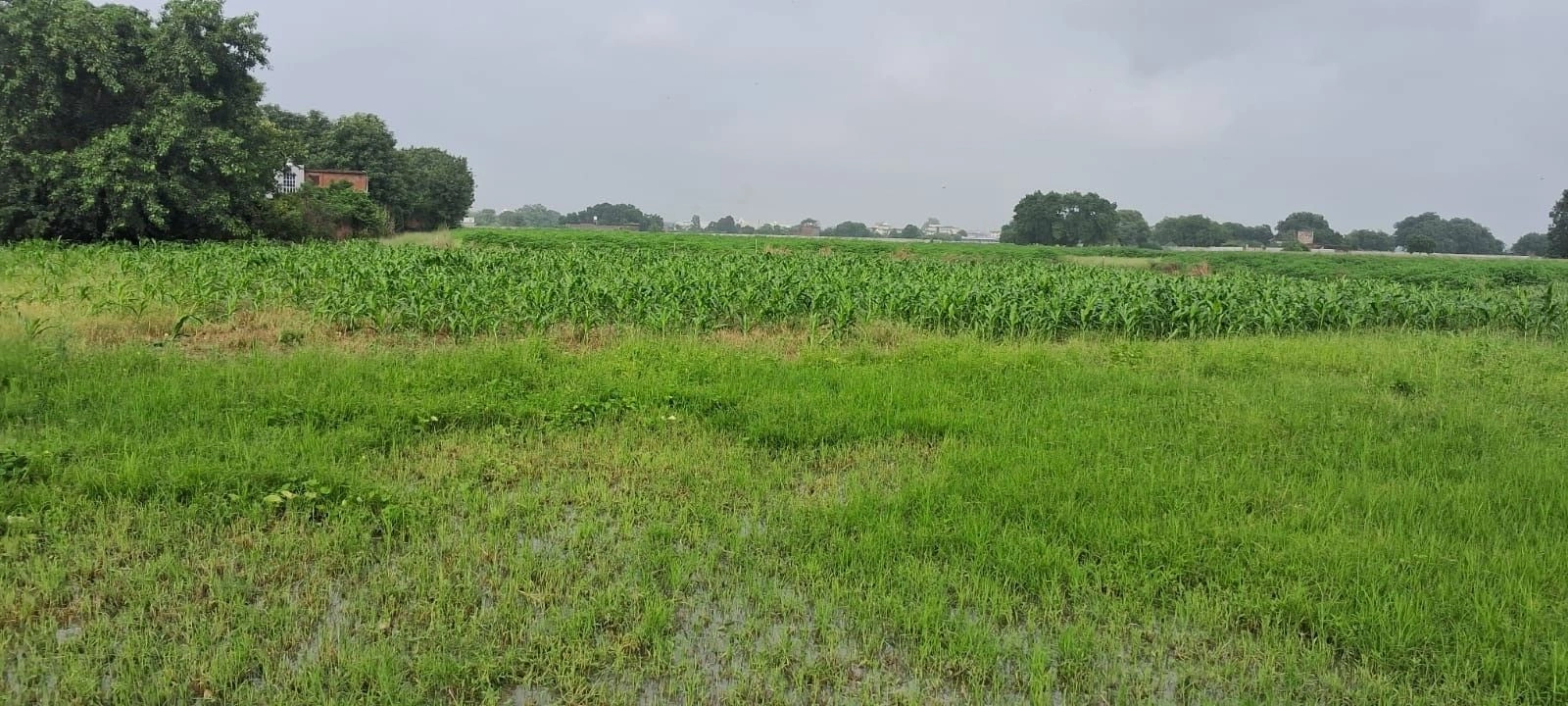 Narwal, Kanpur Nagar, Uttar Pradesh 209401, India