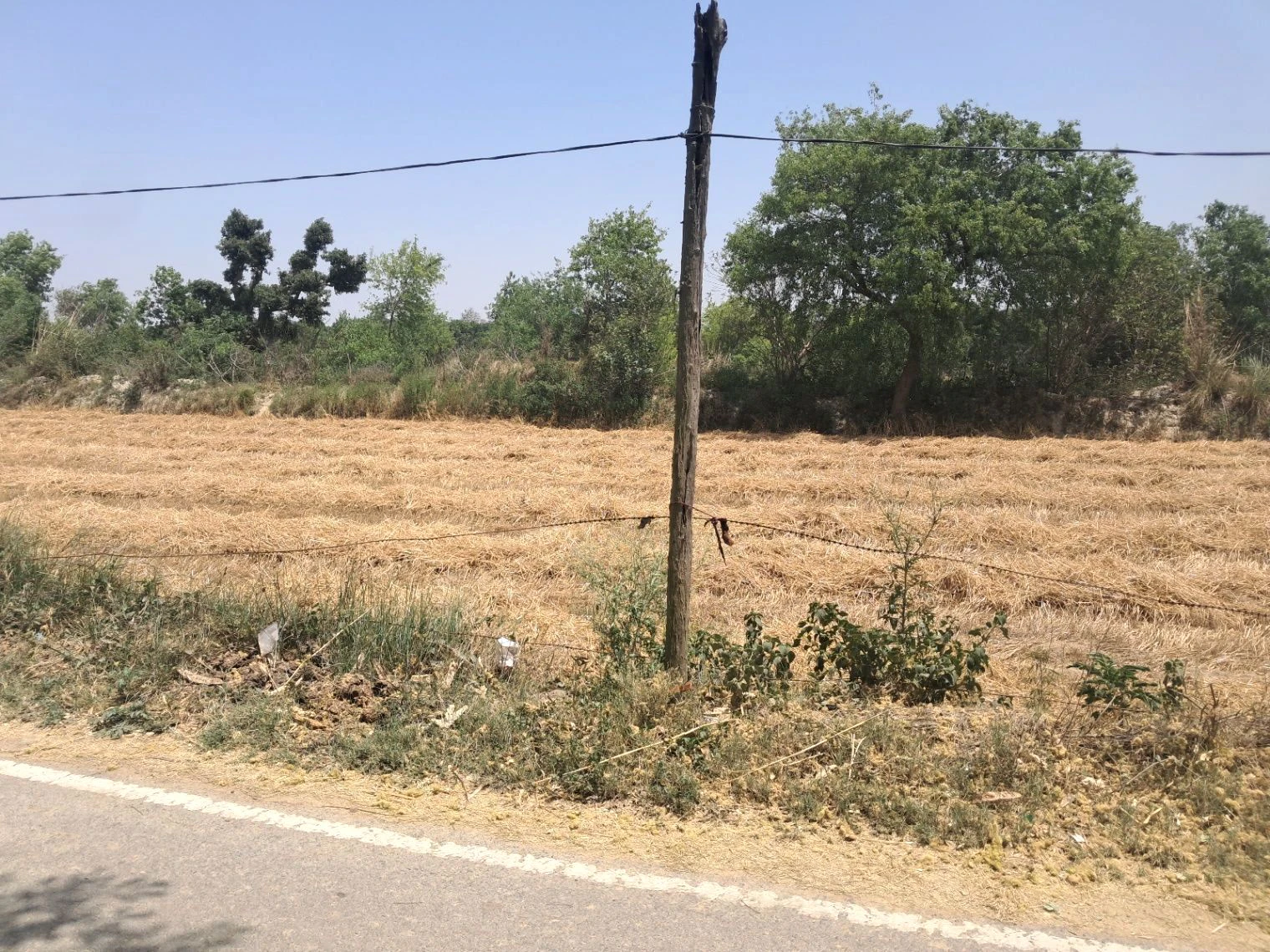 M5R2+94 Mainuddinpur, Uttar Pradesh, India