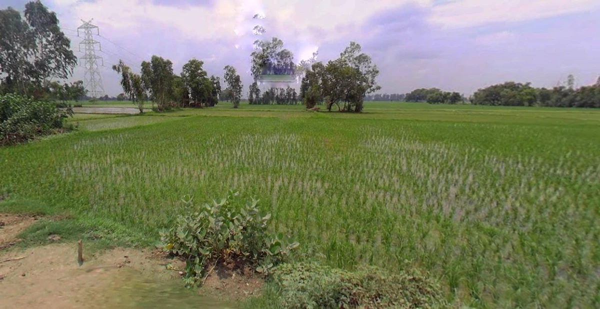 Kathoomar, Rajasthan 321605, India