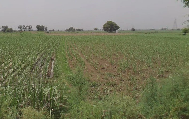 Daurala, Uttar Pradesh 250221, India