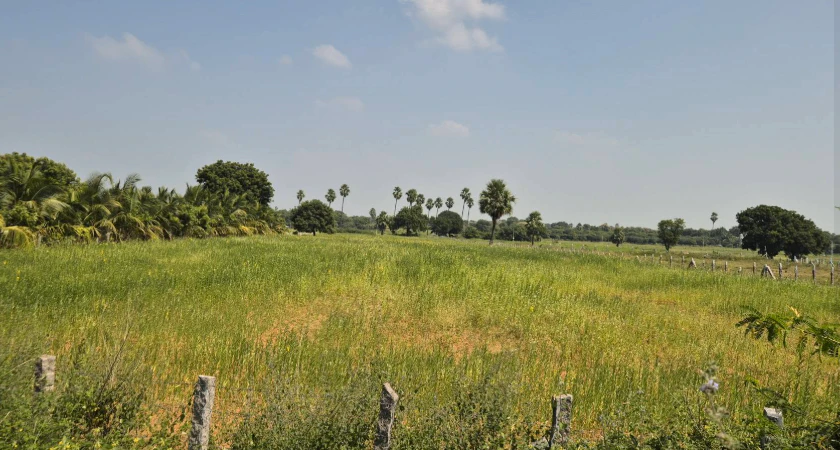 JRQW+GH Budhera, Sangareddy, Telangana, India