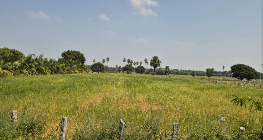 JRQW+GH Budhera, Sangareddy, Telangana, India - Photo 2
