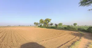 Vanthal, Gujarat 382150, India preview 2