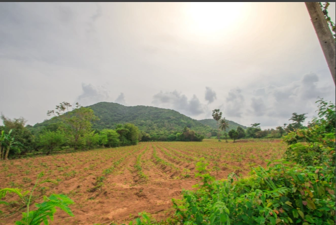 Latifpur Khubban Pur, Uttarakhand, India
