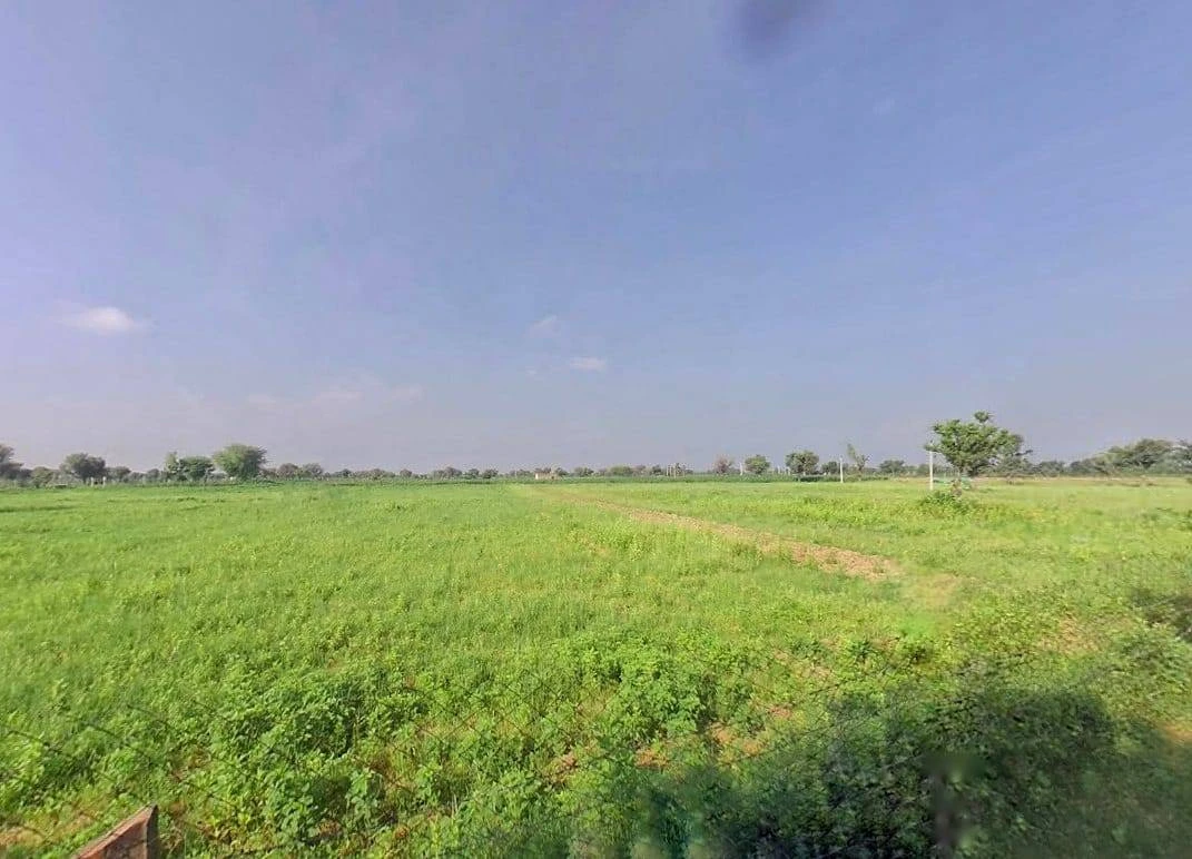 PMRM+4W7, Panwaliya, Rajasthan 303904, India