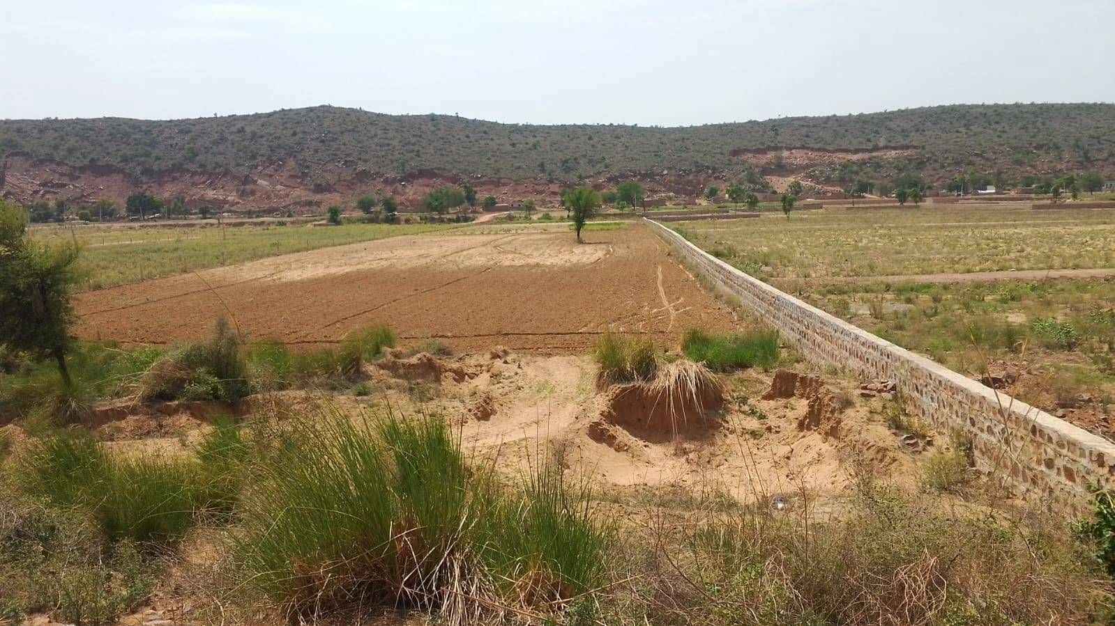 Mubarikpur, Rajasthan 301025, India