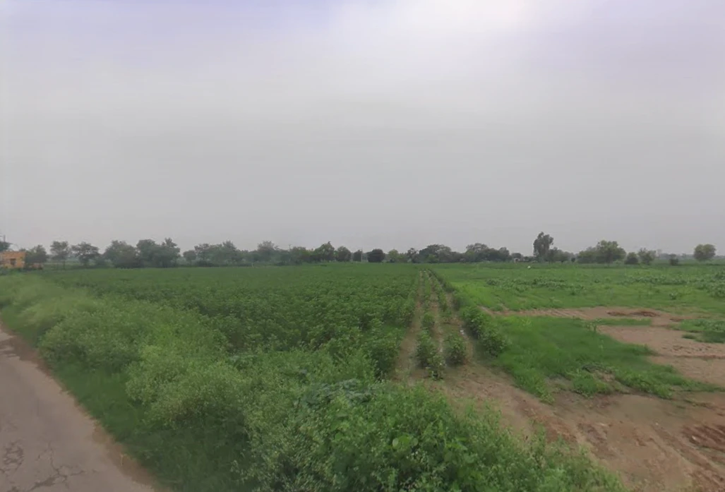 Barwas, Haryana 127201, India