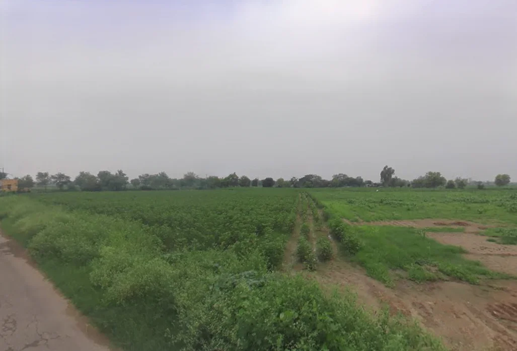 Barwas, Haryana 127201, India preview 2