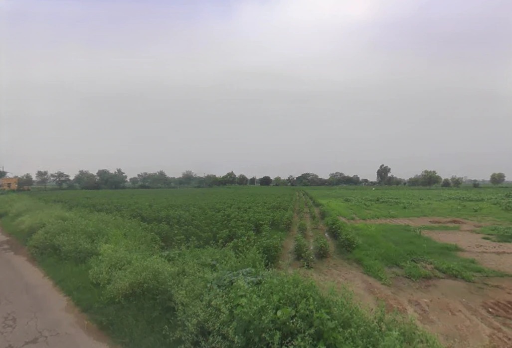 Barwas, Haryana 127201, India