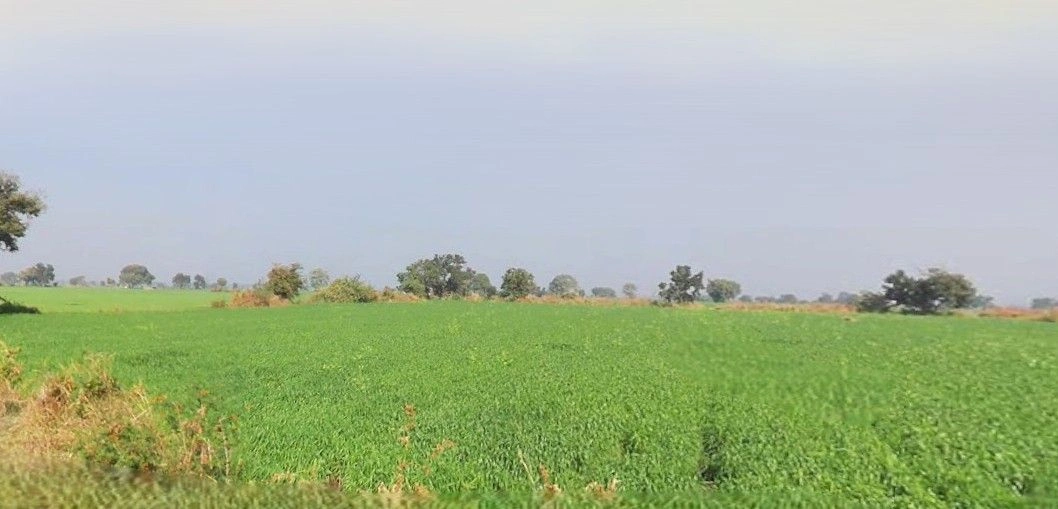 Bamrauli, Prayagraj, Uttar Pradesh, India