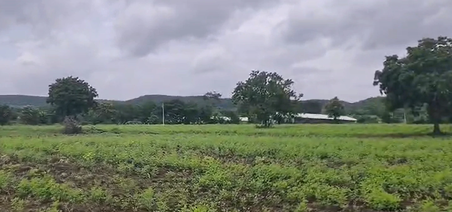 Q2PR+6J Bachannapet, Jangaon, Telangana, India