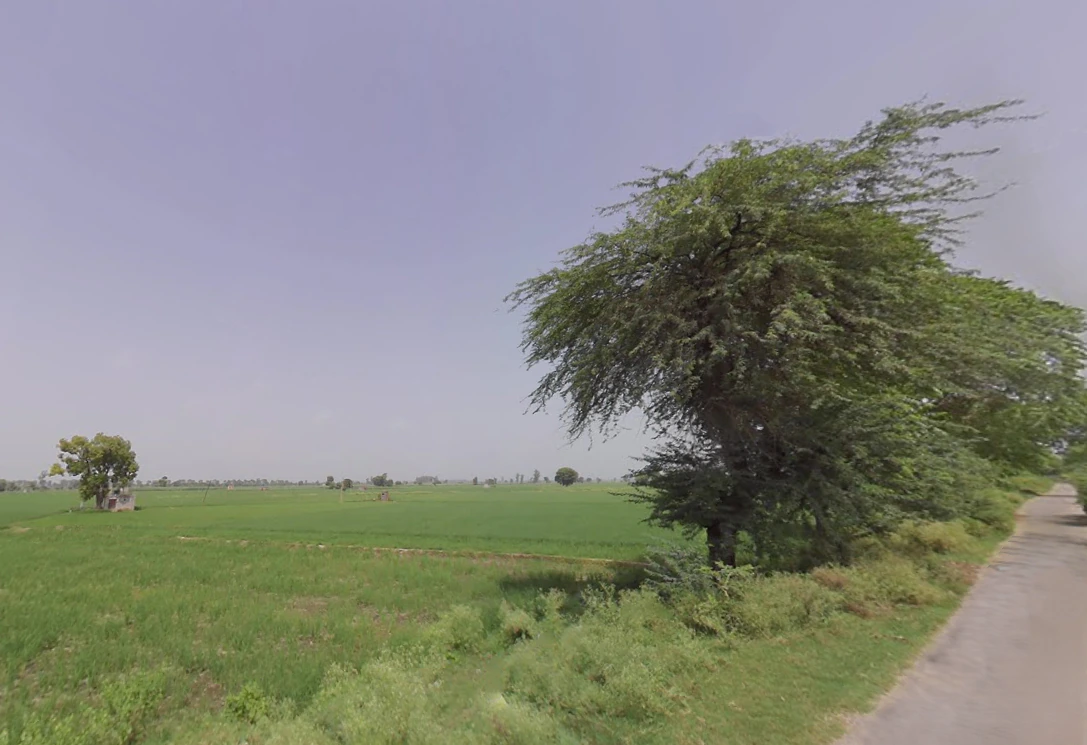 Rakshera, Haryana 132115, India