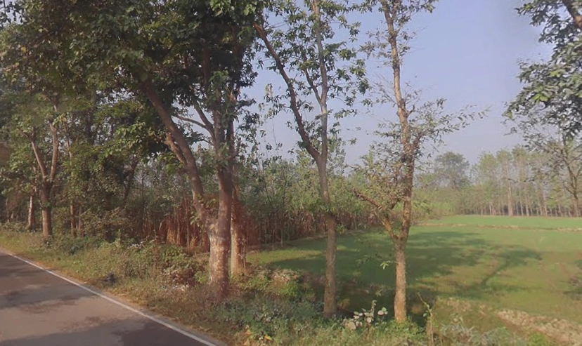 Behat Dehat, Uttar Pradesh 247121, India