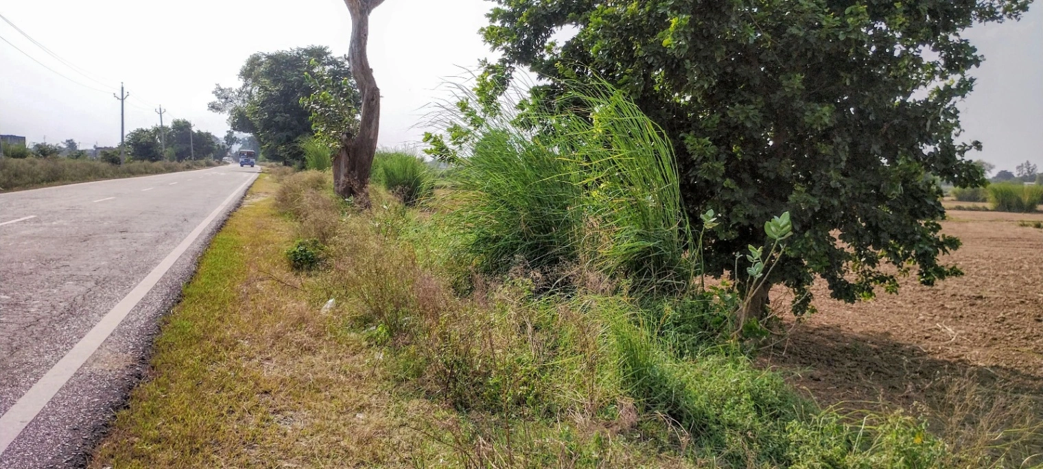 Nagla Chahar, Rajasthan 321203, India