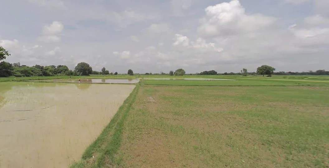 Salaiya, Madhya Pradesh, India