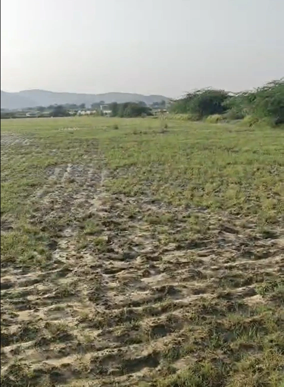 8P28+JQ9, Tonk, Peeplu, Rajasthan 304801, India