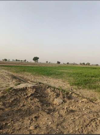 Samesar, Chhattisgarh 491337, India preview 2