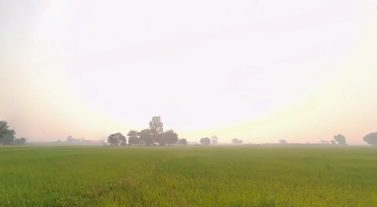 Mangli (Uchi), Ludhiana, Punjab, India