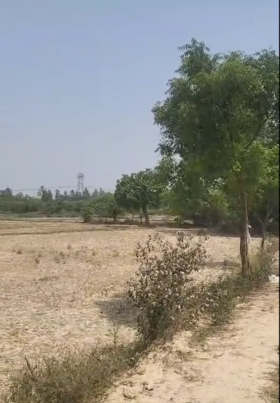 H2C7+V6Q, Harnam Khera, Uttar Pradesh 226302, India preview 3