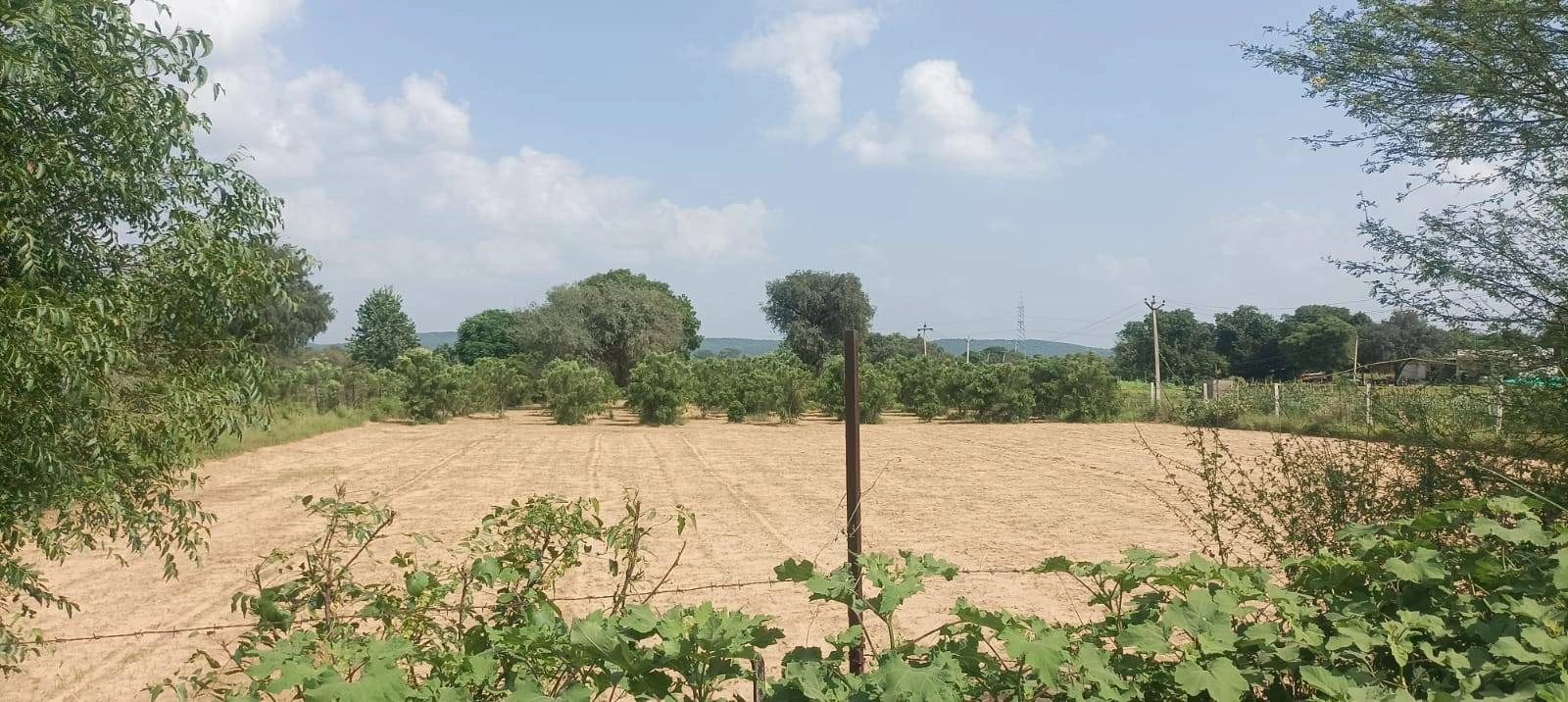 Awanidiya Sultaniya Phagi Rd, Phagi, Rajasthan 303005, India