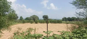 Awanidiya Sultaniya Phagi Rd, Phagi, Rajasthan 303005, India preview 2