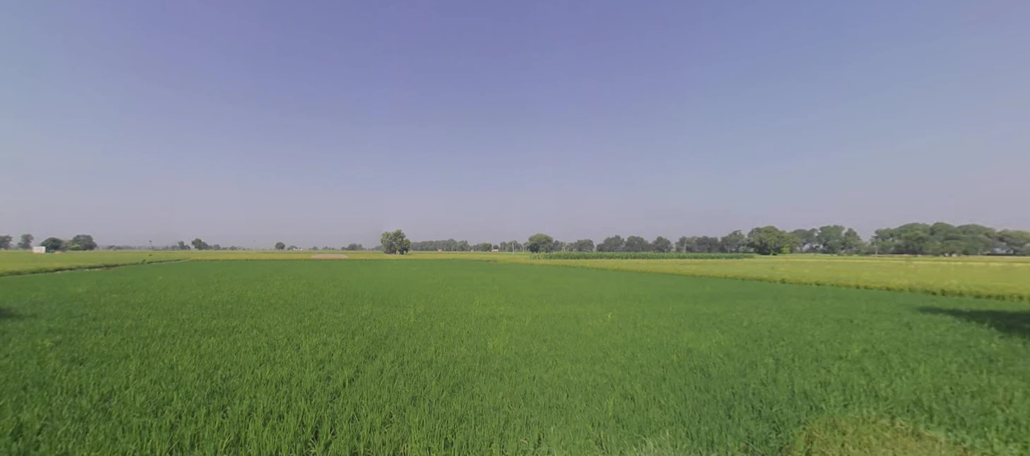 Rania, Haryana 125076, India