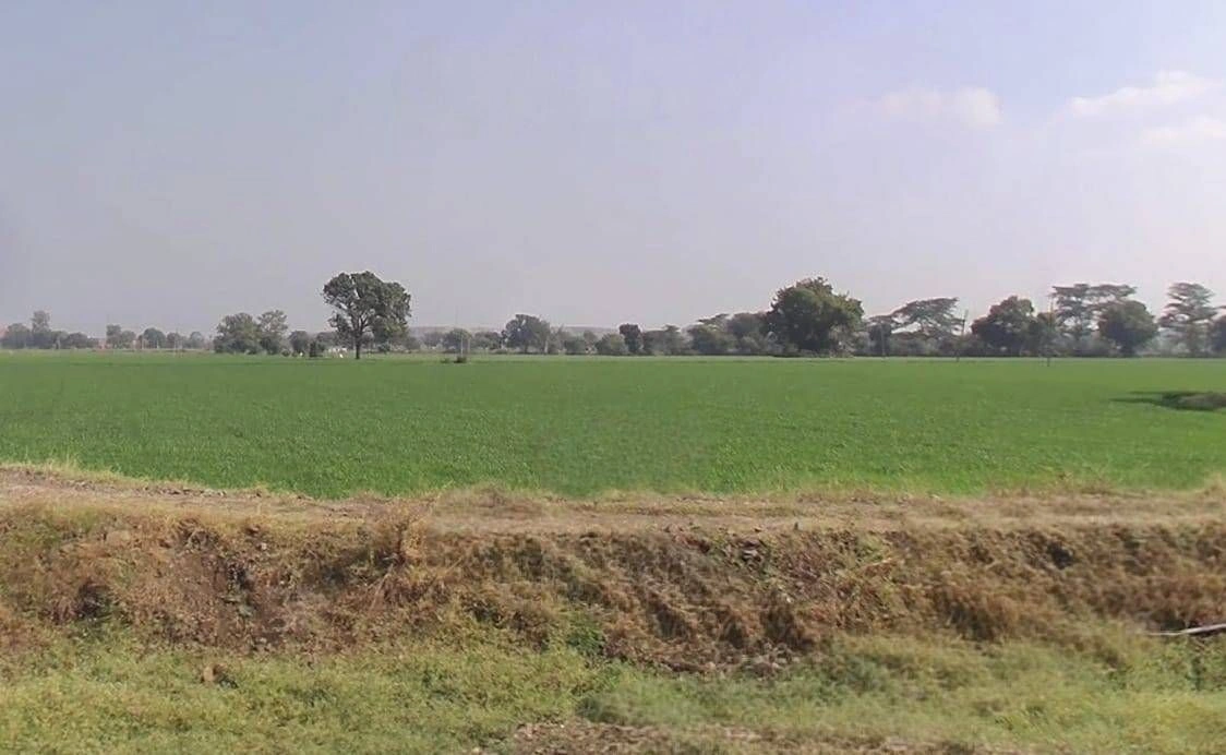 Nasrullaganj, Madhya Pradesh 466331, India