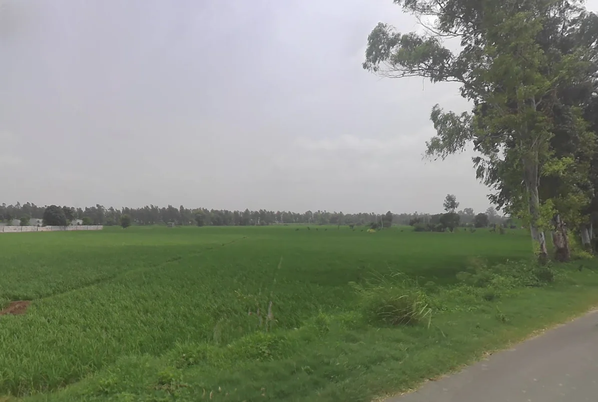 Nigdhu, Haryana 132157, India preview 2