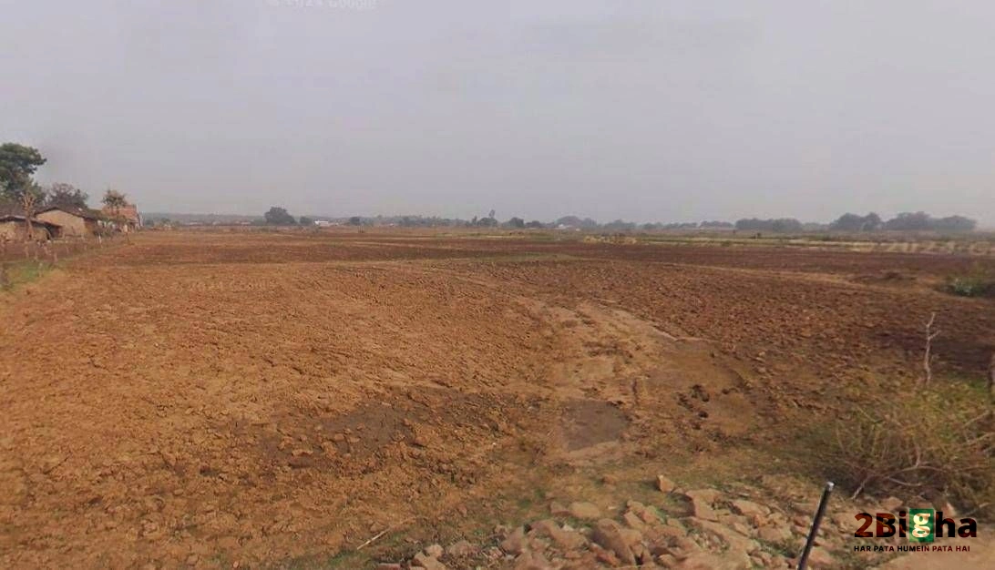 Panipat, Haryana, India