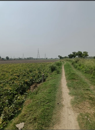 6783+4M Dibai, Uttar Pradesh, India