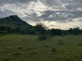 Penukonda, Andhra Pradesh 515110, India preview 4