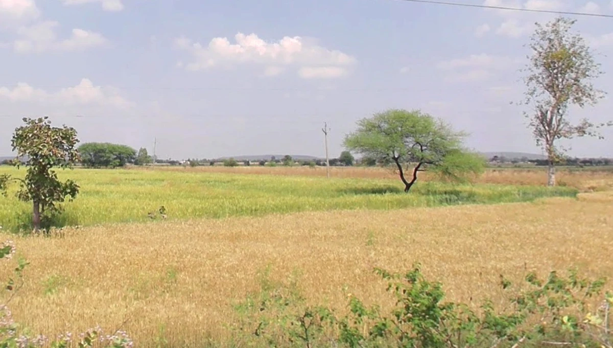 Mudiya Kheda, Madhya Pradesh 464651, India