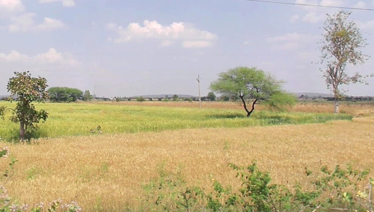 Mudiya Kheda, Madhya Pradesh 464651, India