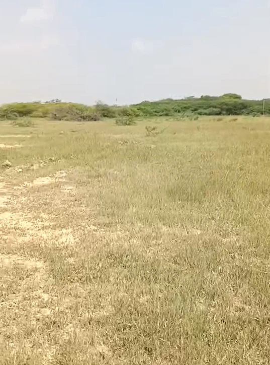 V427+HW, Mahabubnagar, Chennavalli, Telangana 509202, India