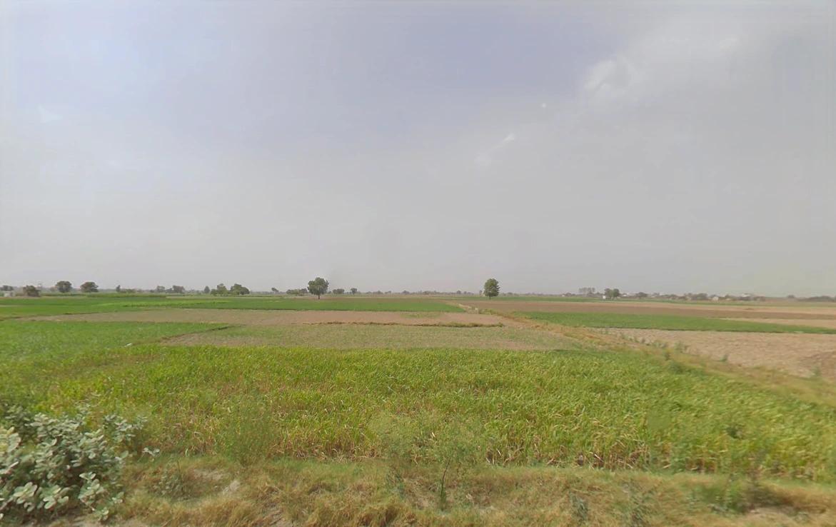 Tharia, Haryana 131001, India