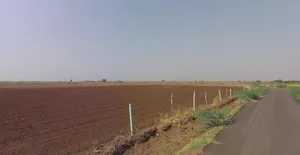 75HH+8CX, Kanz, Gujarat 382140, India preview 3