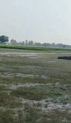J3GH+JWR, Lucknow, Samesee, Uttar Pradesh 226303, India - Photo 2