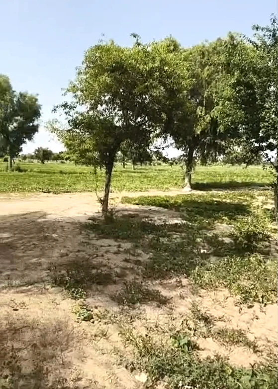 5XCC+M6 Shri Dungargarh, Bikaner, Rajasthan, India