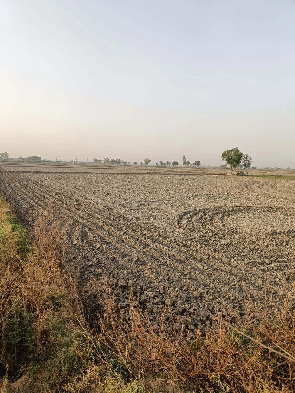 Tentigaon, Uttar Pradesh, India preview 3