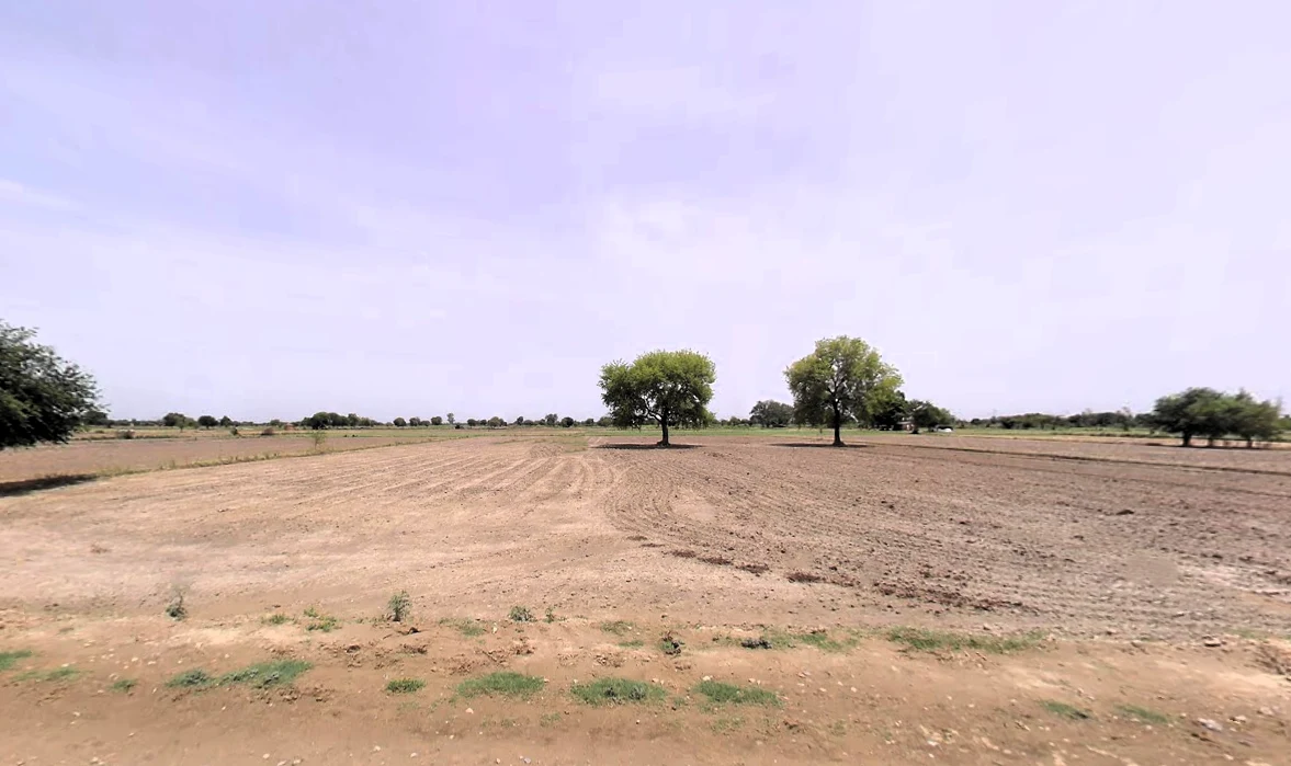 JJJC+X29, Parkham, Uttar Pradesh 281202, India