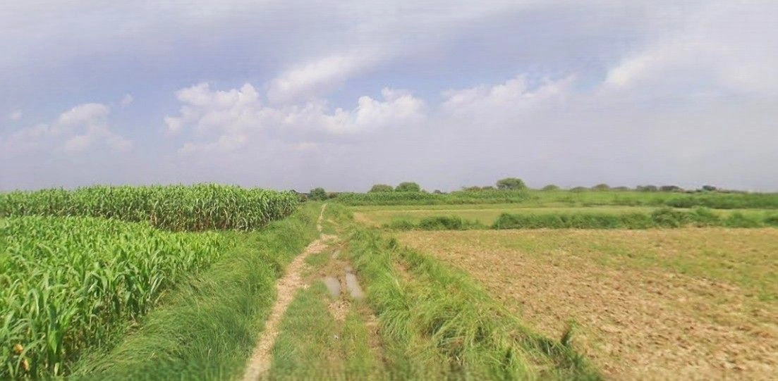 Hasanganj, Uttar Pradesh 209841, India preview 2