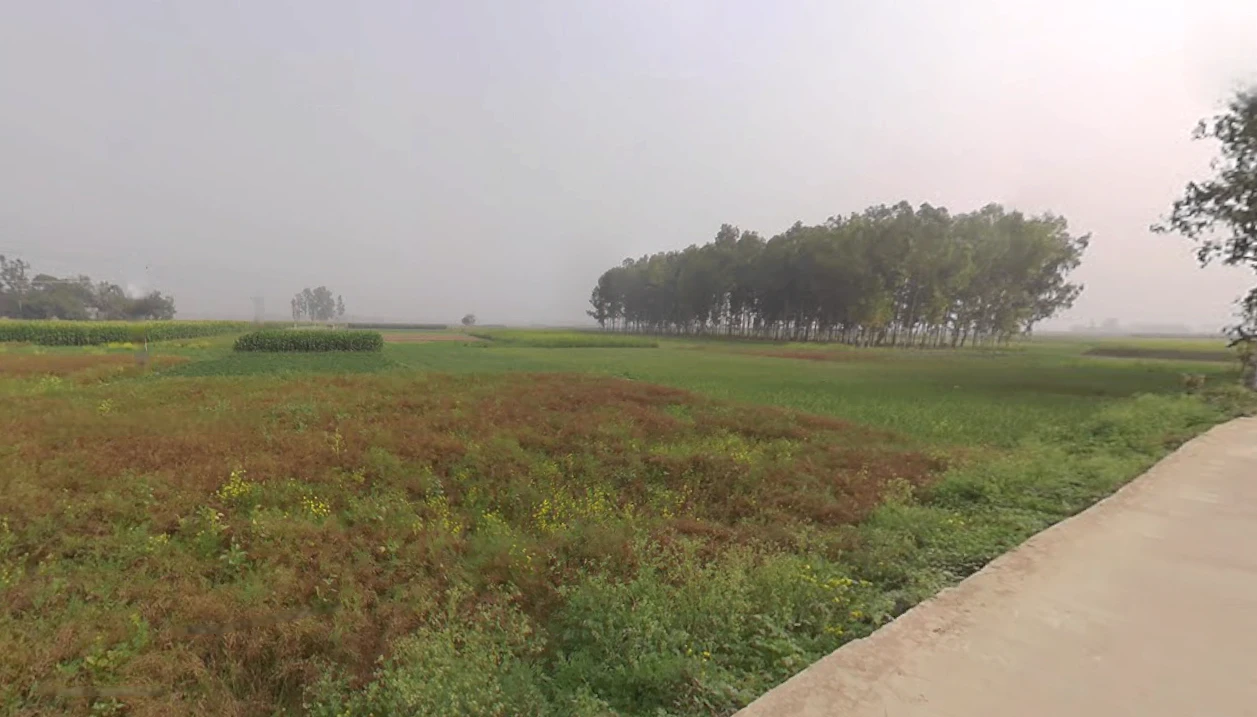 Belgharia Main Rd, Belgharia, Payradanga, West Bengal, India