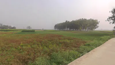Belgharia Main Rd, Belgharia, Payradanga, West Bengal, India preview 3