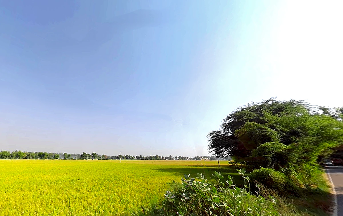 Jiwan Nagar, Haryana 125075, India