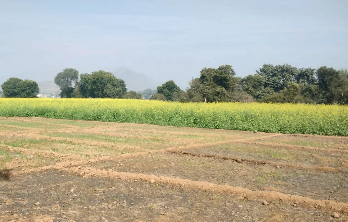 VP27+4M Bhanohad, Punjab, India